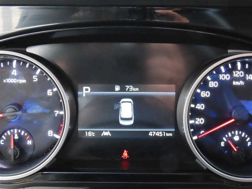 KIA Carnival - Vista 12