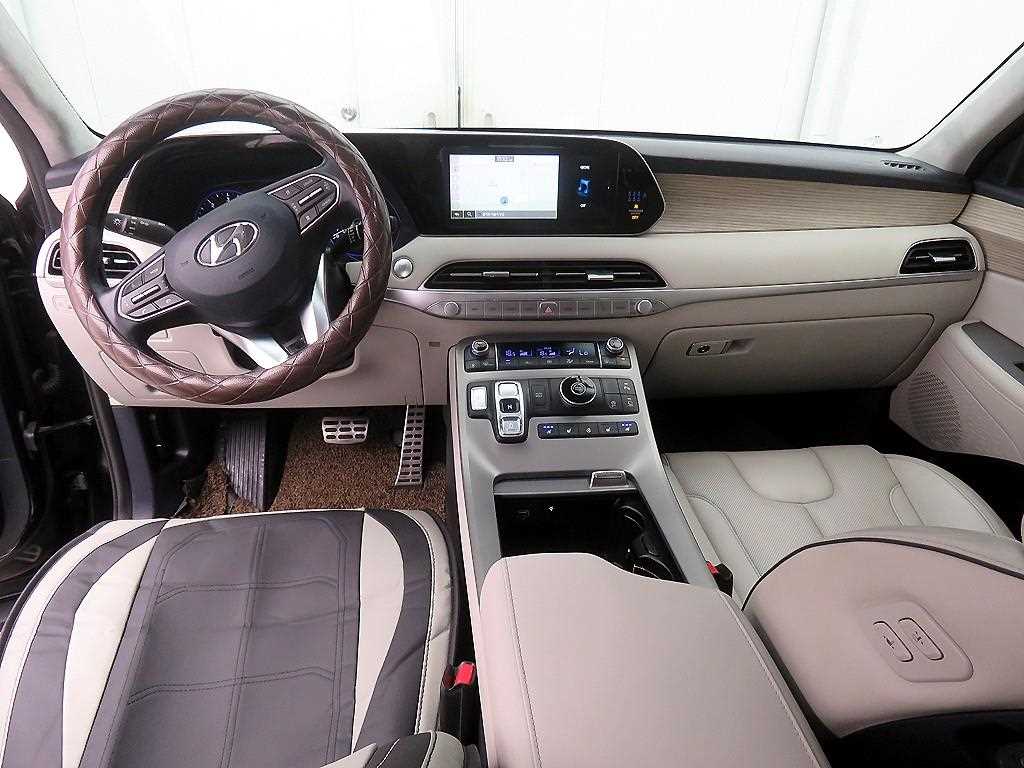 HYUNDAI Palisade - Vista 8
