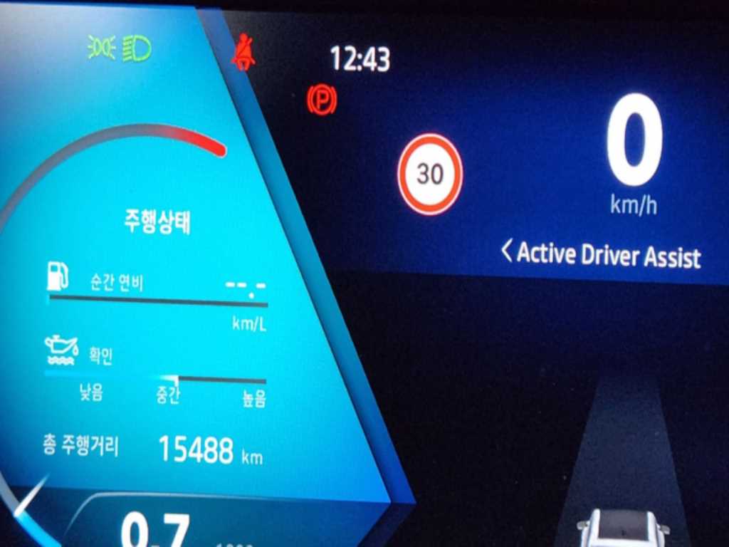 SAMSUNG Grand Koleos - Vista 9