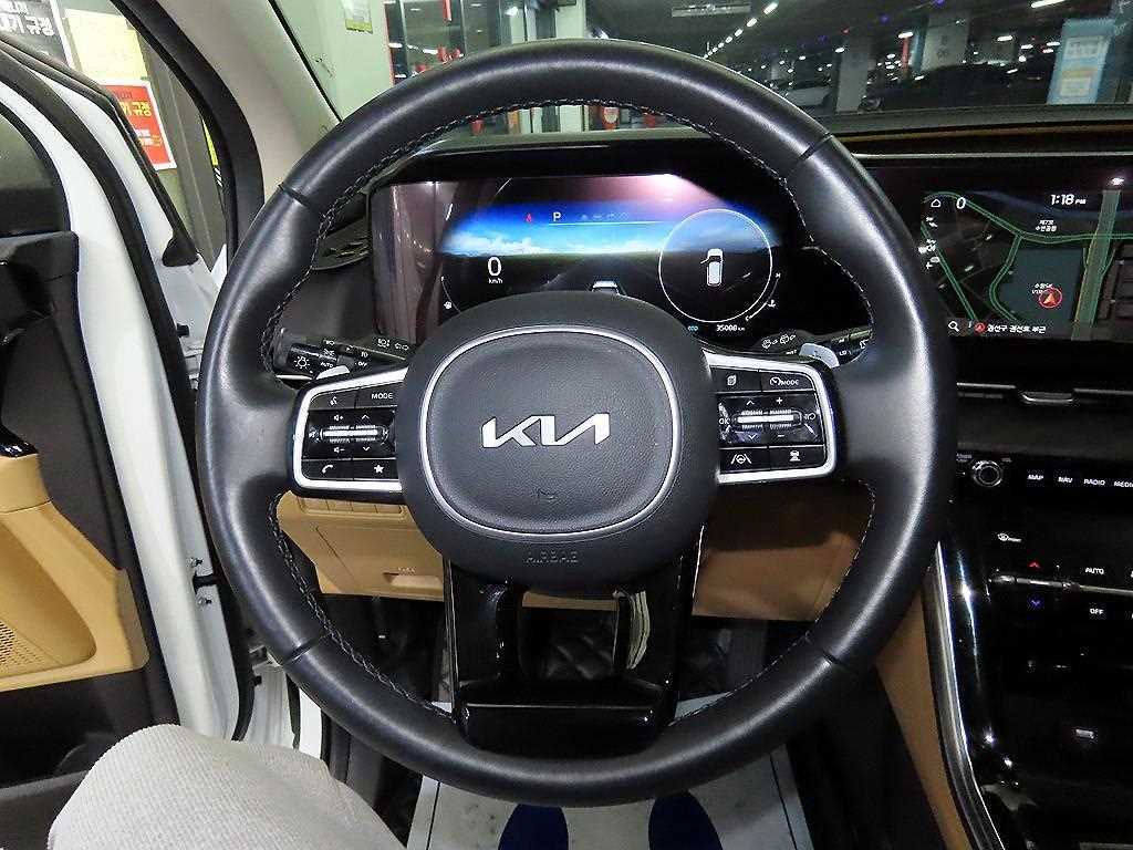 KIA Carnival - Vista 8
