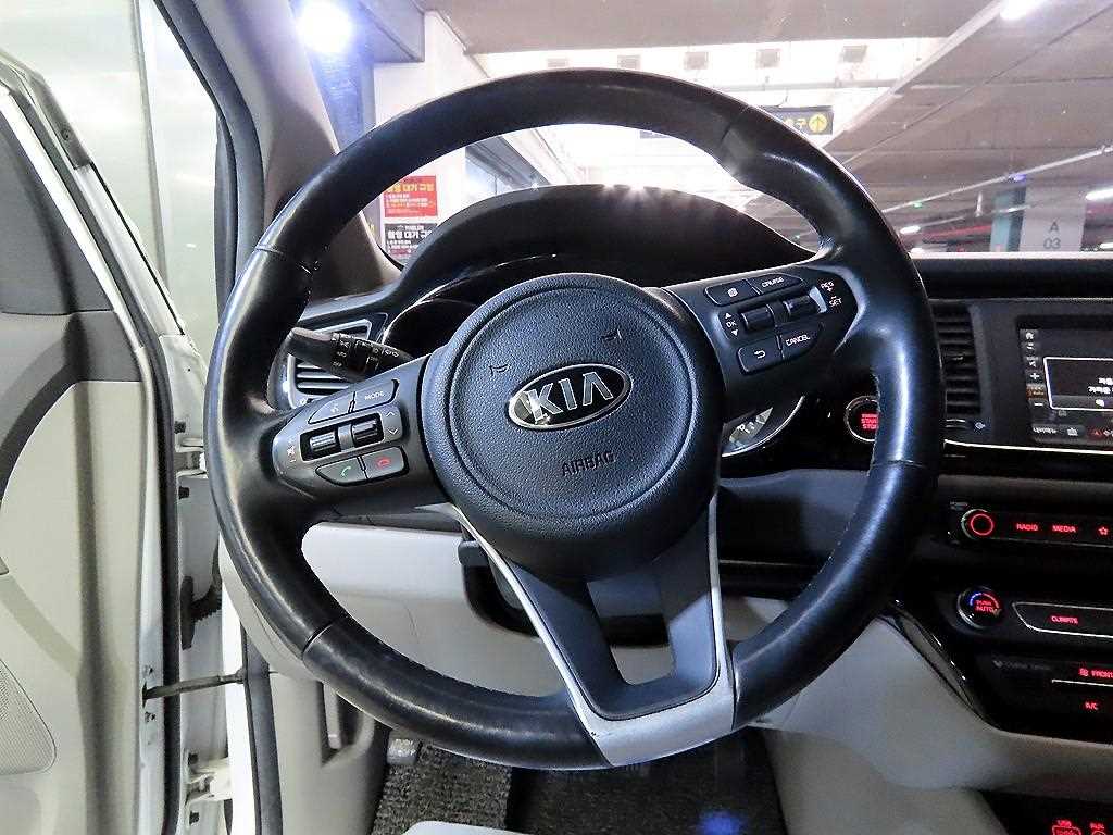 KIA Carnival - Vista 8