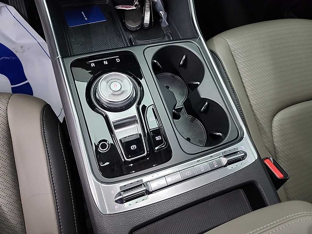 KIA Carnival - Vista 8