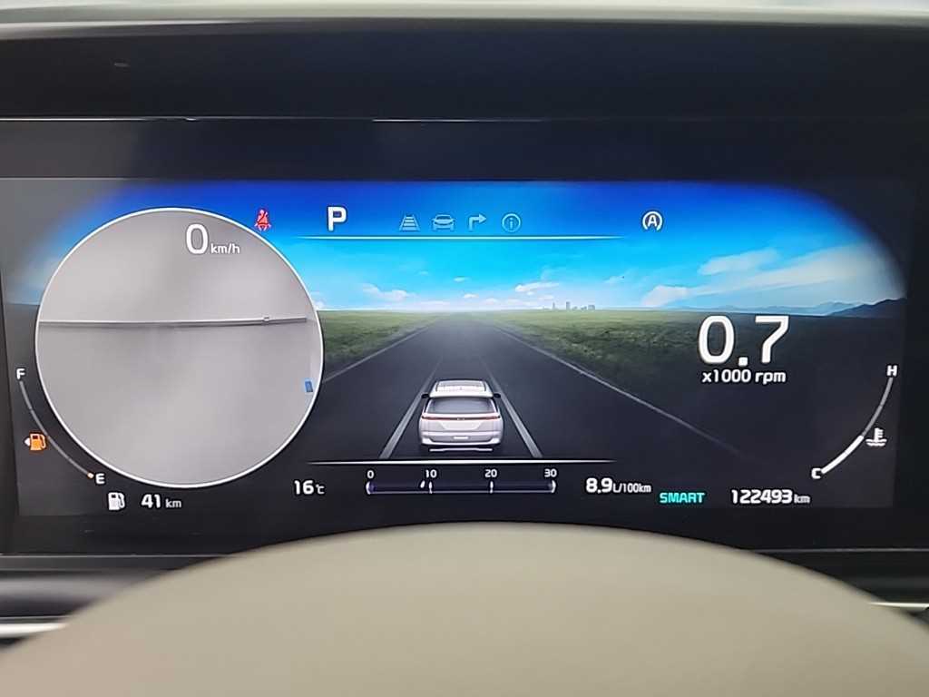 KIA Carnival - Vista 6