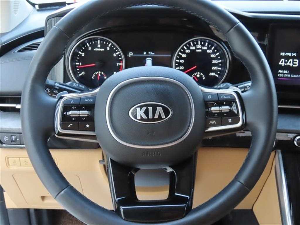 KIA Carnival - Vista 10