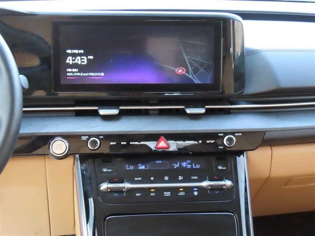 KIA Carnival - Vista 11