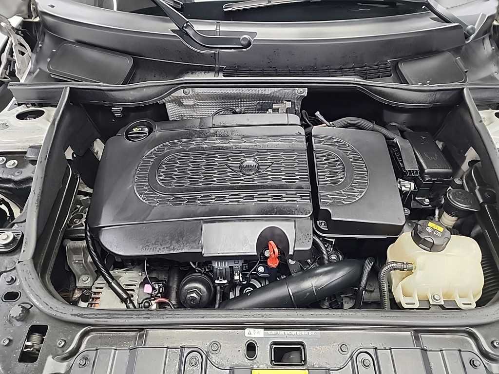 Mini Countryman - Vista 5