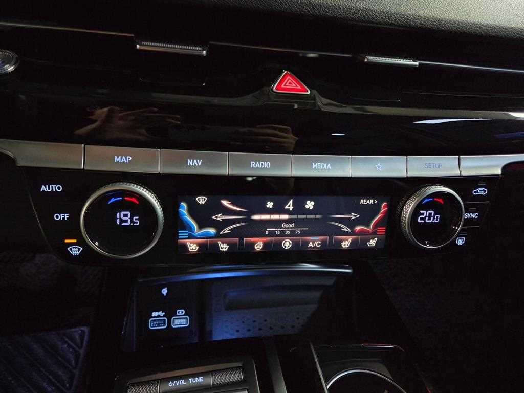 Genesis G80 - Vista 12