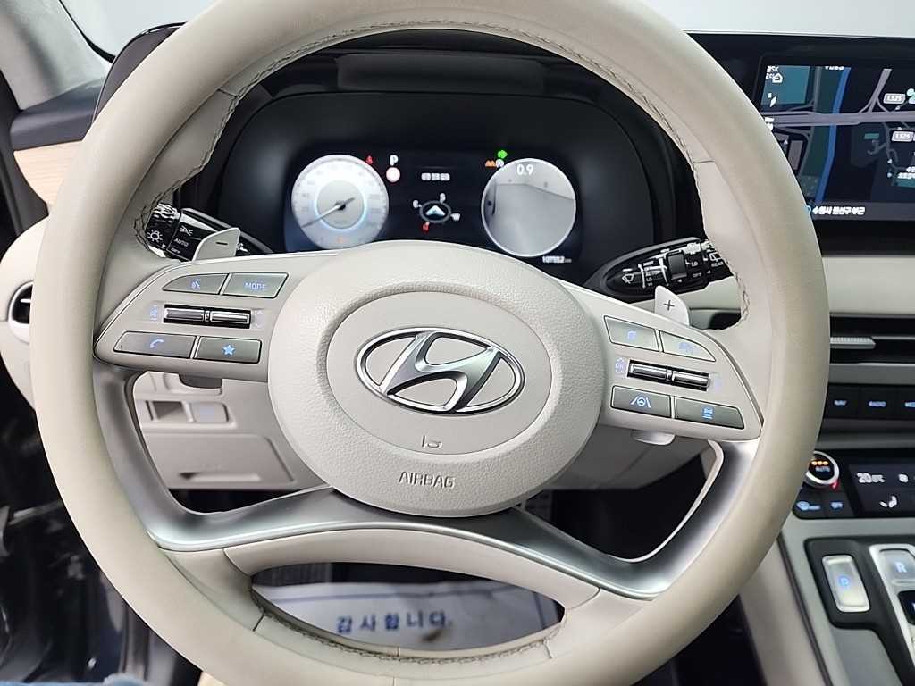 HYUNDAI Palisade - Vista 10