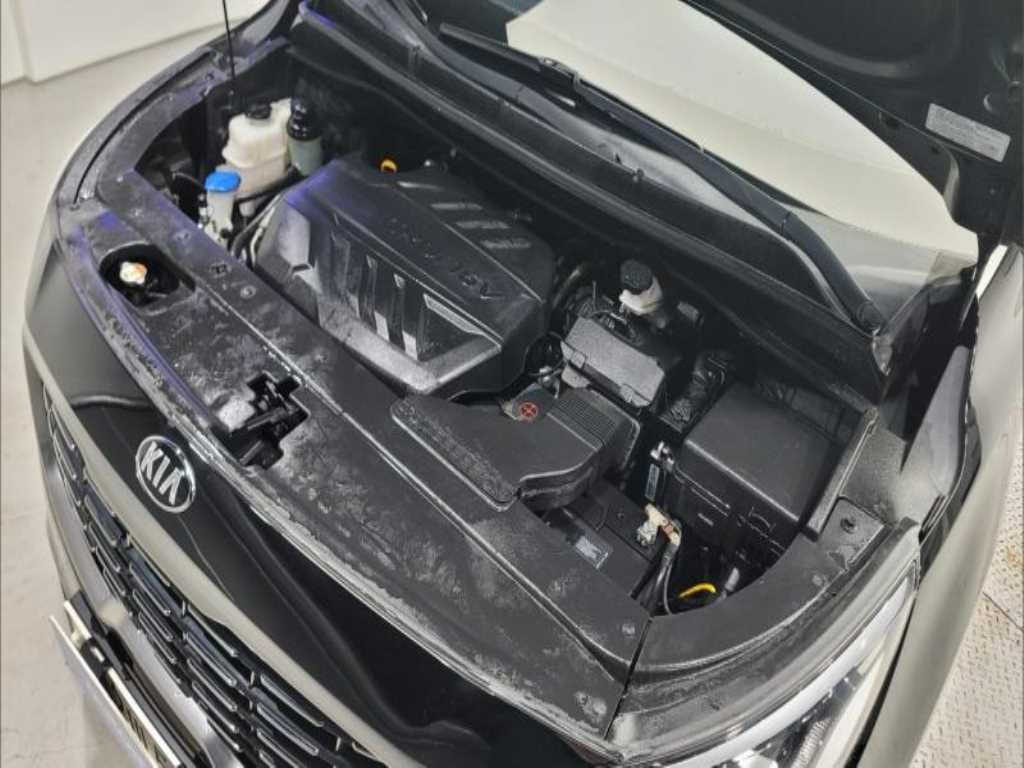 KIA Carnival - Vista 12
