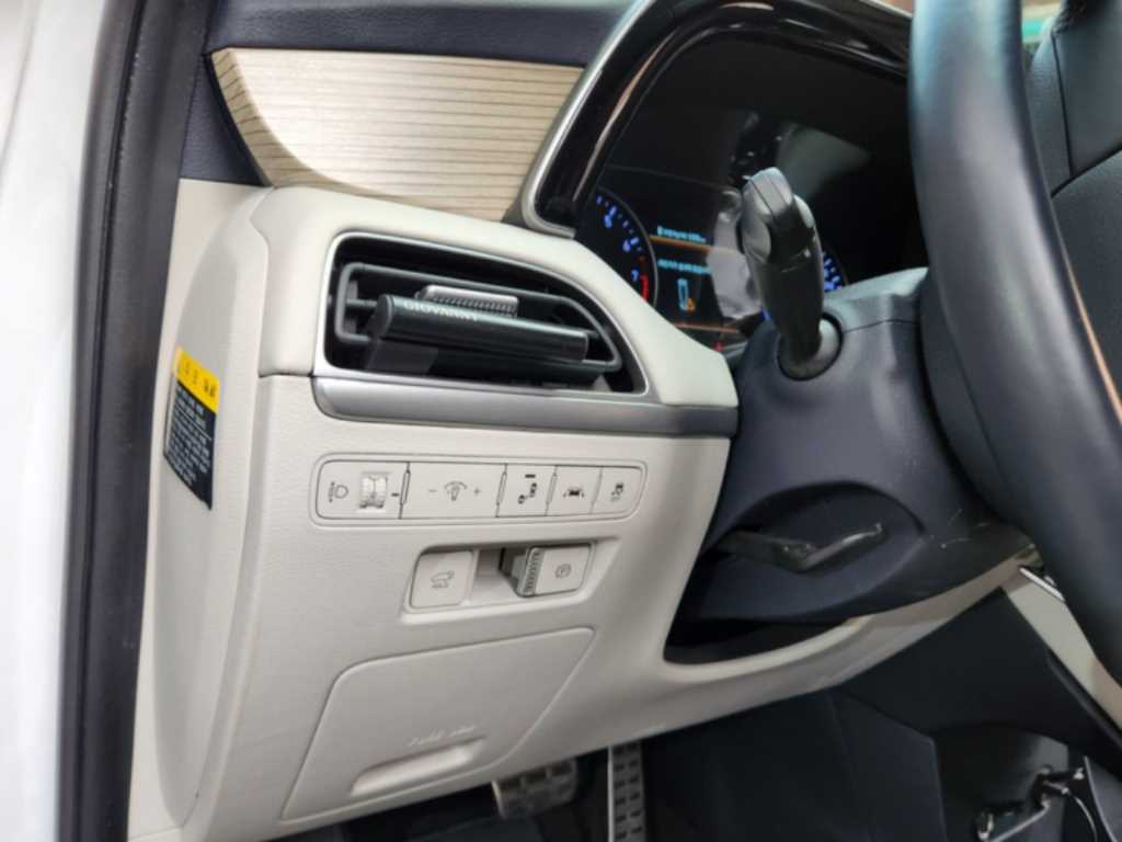 HYUNDAI Palisade - Vista 10