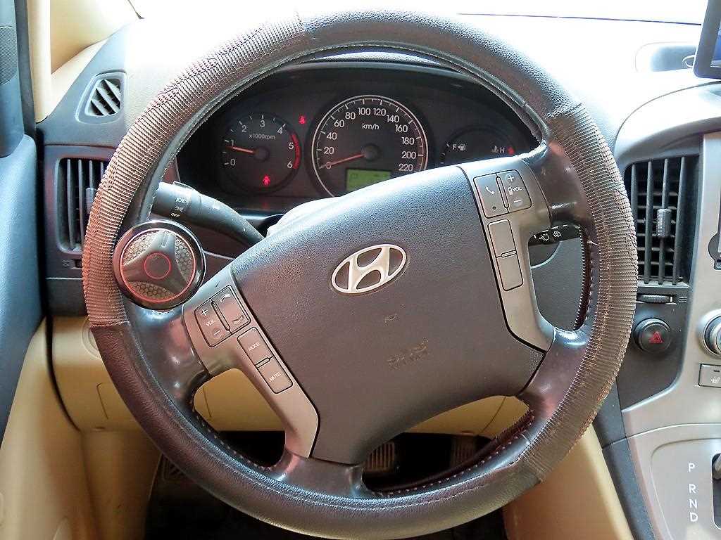 HYUNDAI Starex - Vista 8