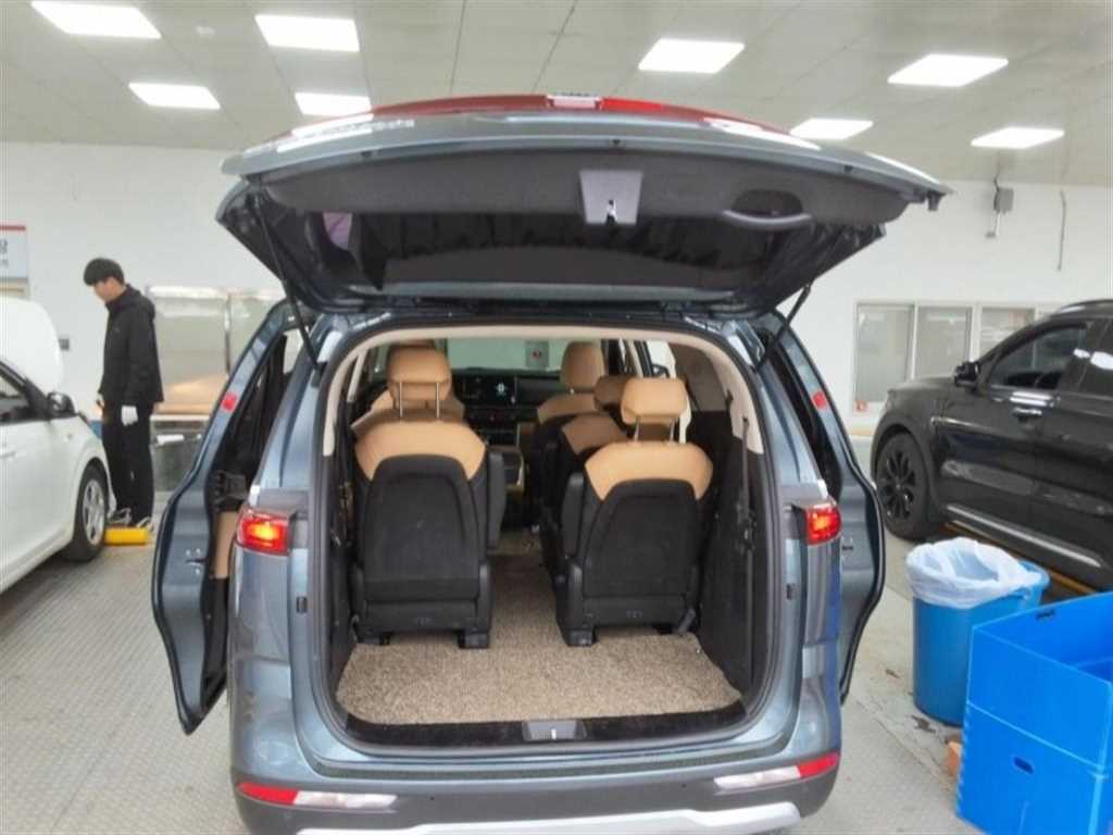 KIA Carnival - Vista 12