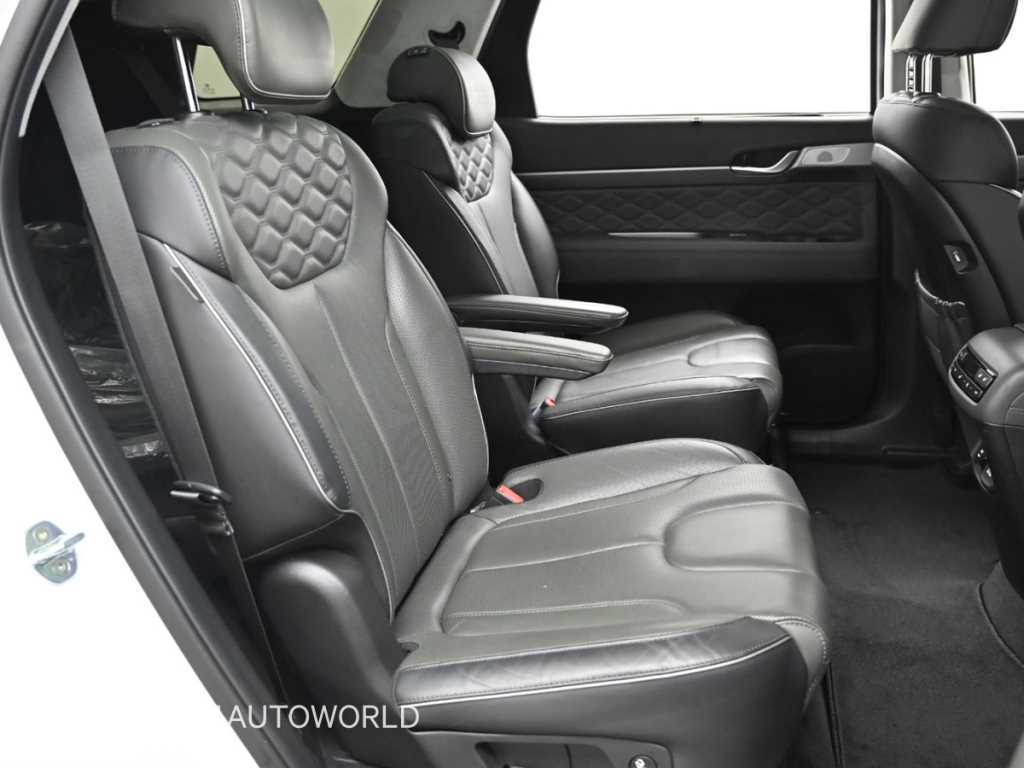 HYUNDAI Palisade - Vista 12