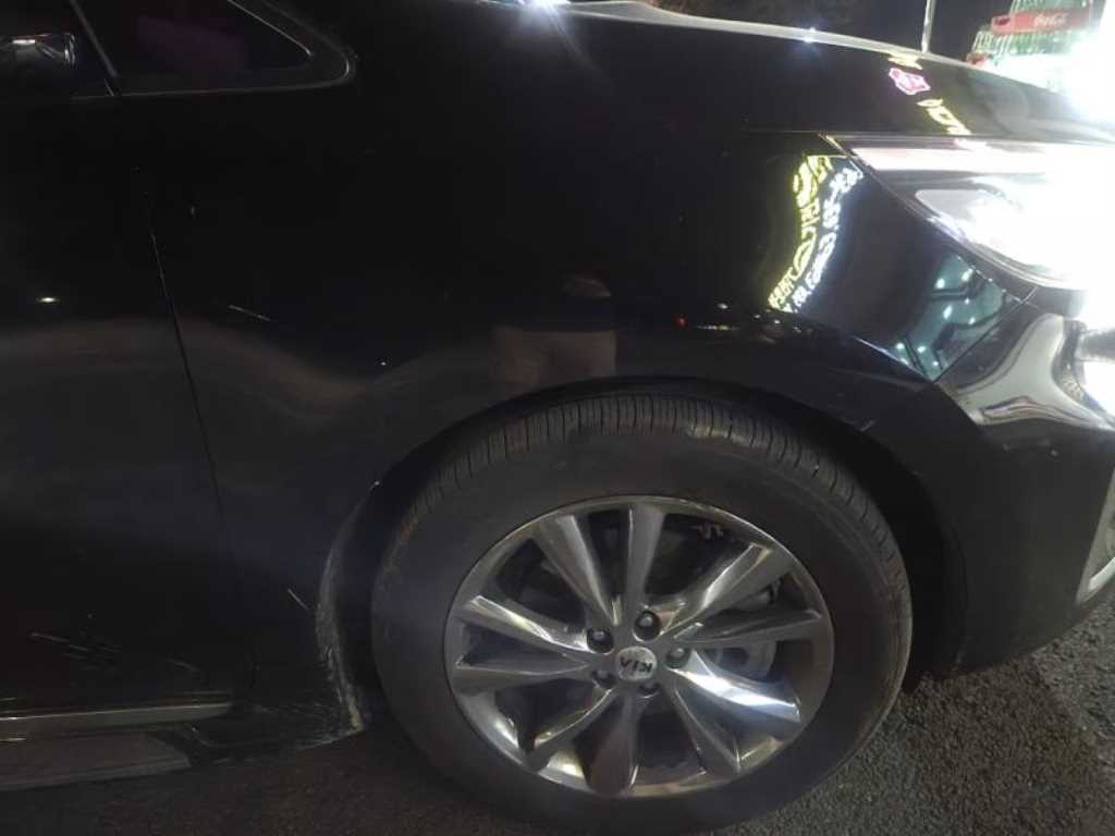 KIA Carnival - Vista 7