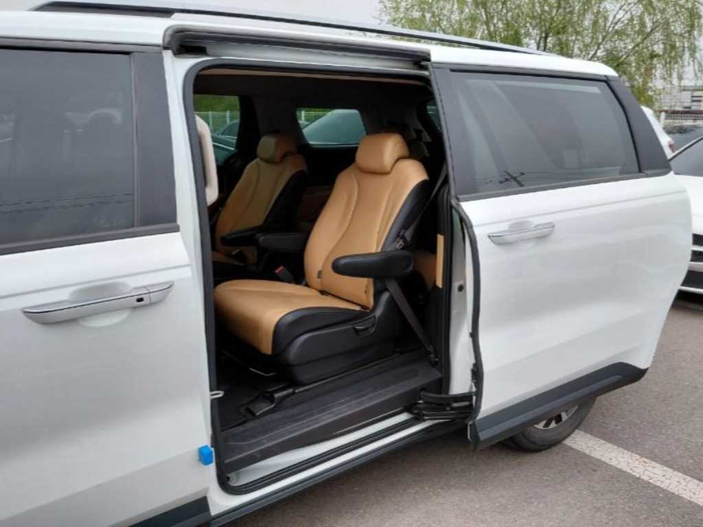 KIA Carnival - Vista 8