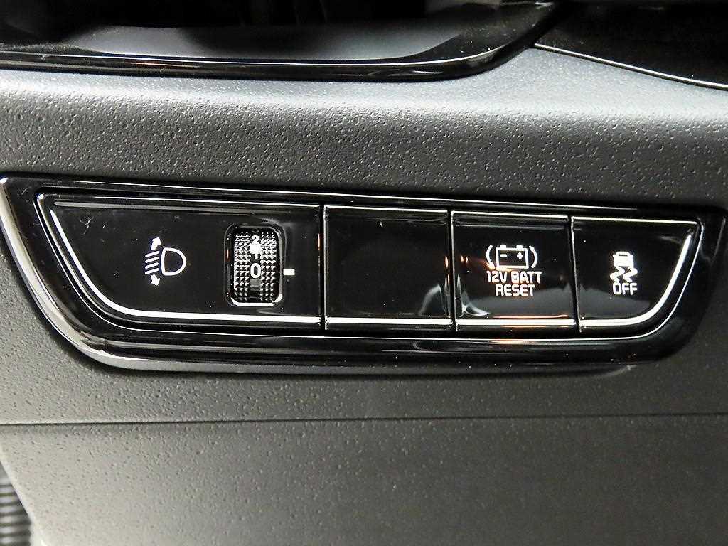 KIA Niro - Vista 12