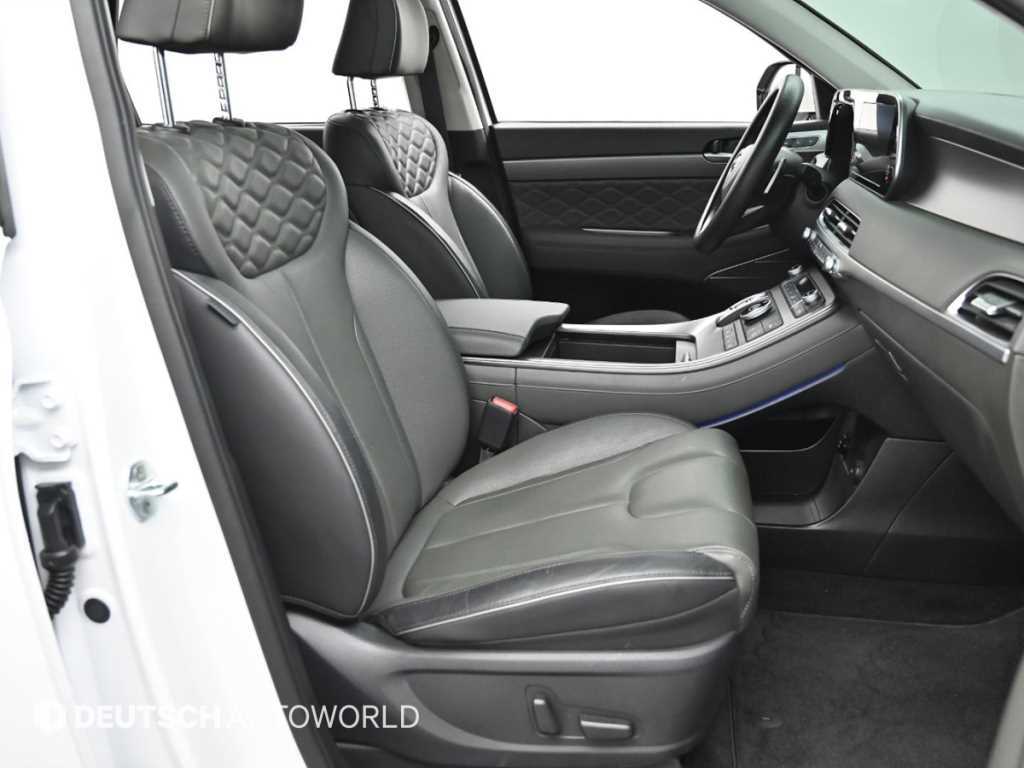 HYUNDAI Palisade - Vista 10