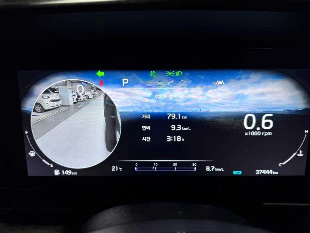 KIA Carnival - Vista 11