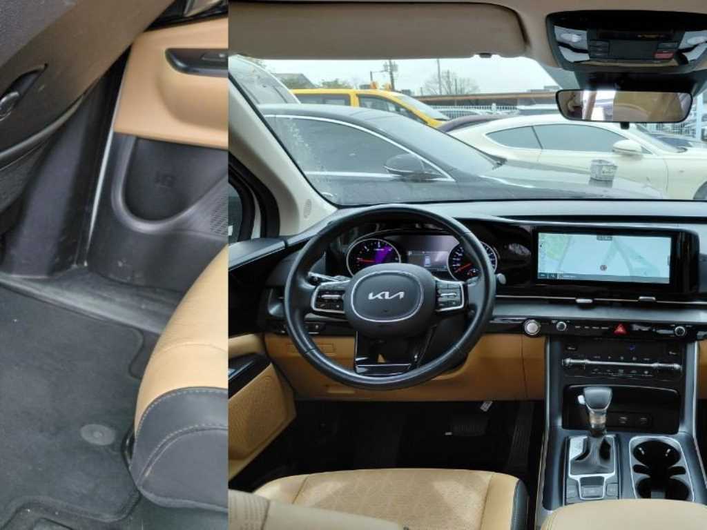 KIA Carnival - Vista 9