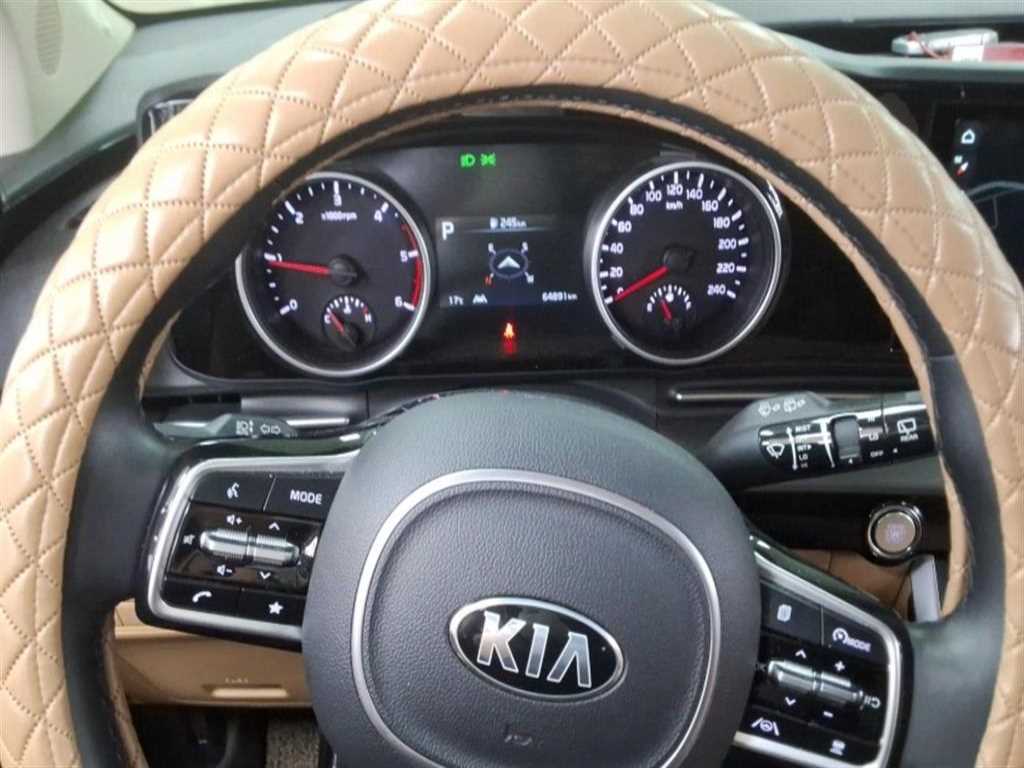 KIA Carnival - Vista 4