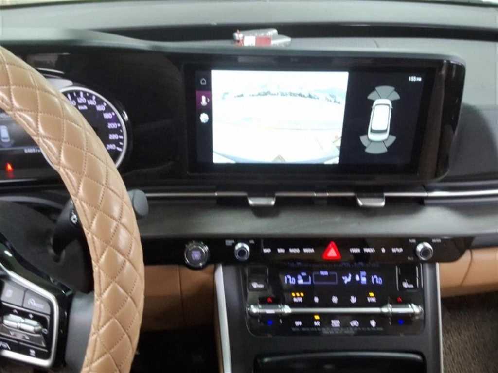 KIA Carnival - Vista 7