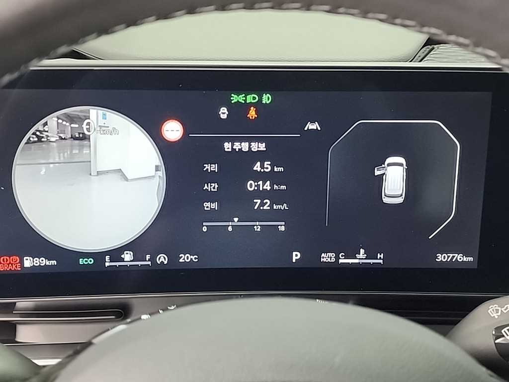 KIA Carnival - Vista 6