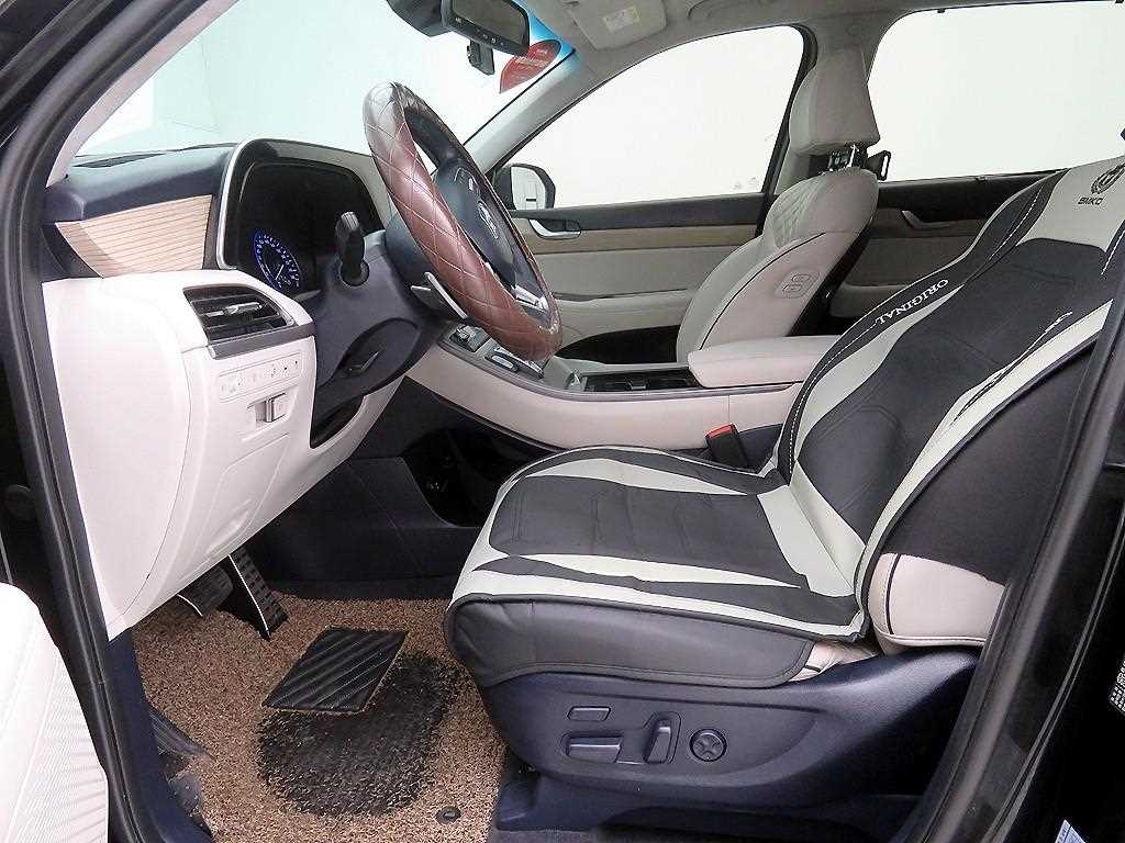HYUNDAI Palisade - Vista 6