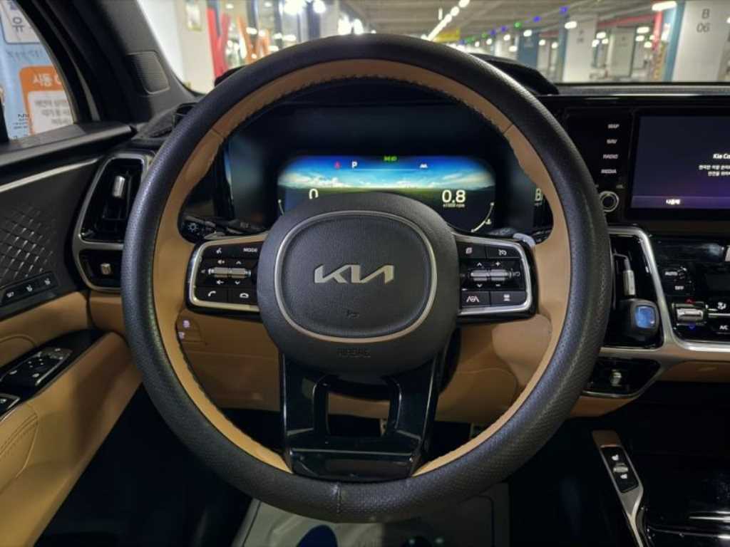 KIA Sorento - Vista 8