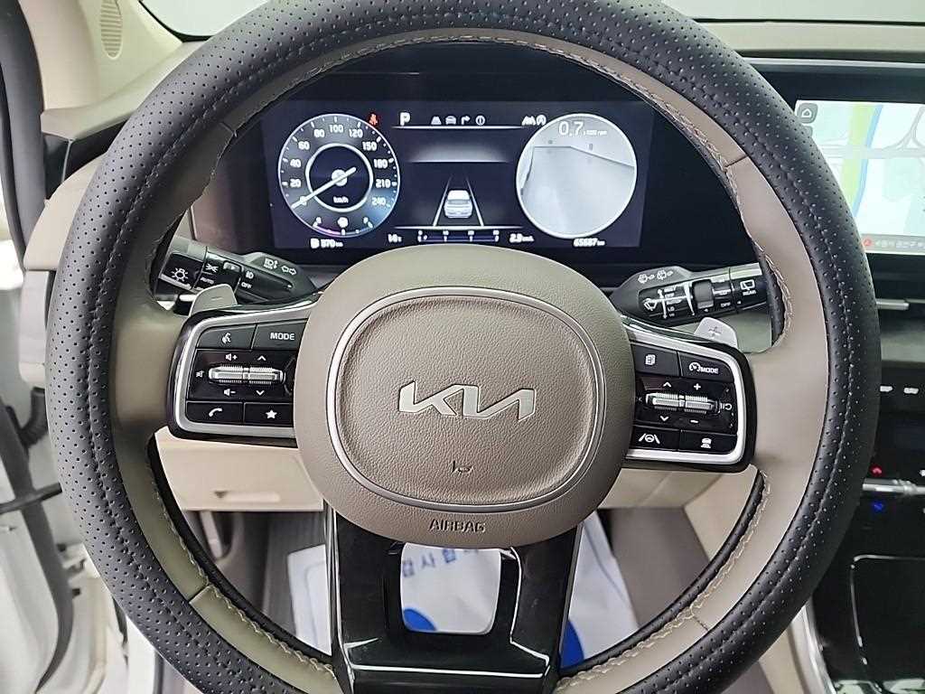 KIA Carnival - Vista 9