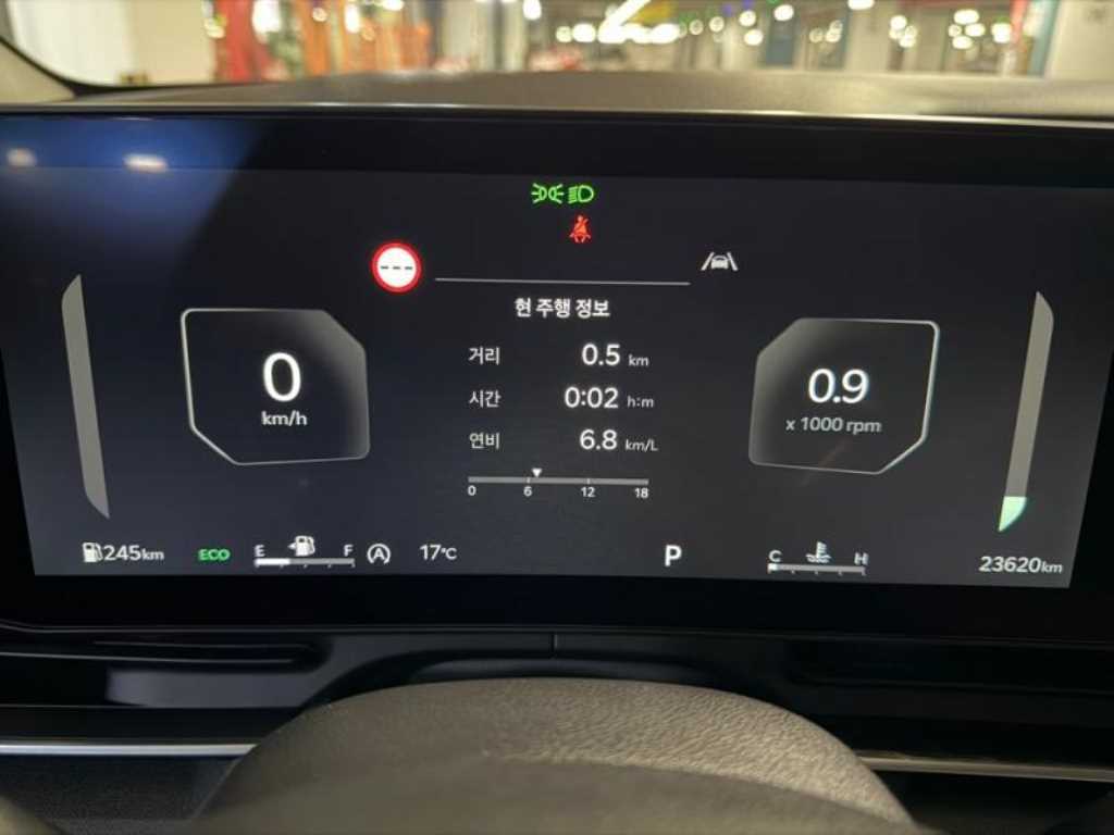 KIA Carnival - Vista 9