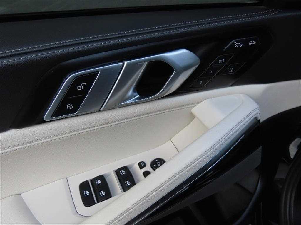 BMW X6 - Vista 12