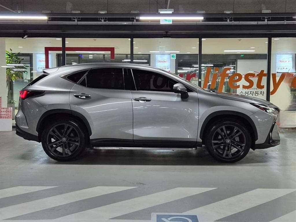Lexus NX - Vista 3