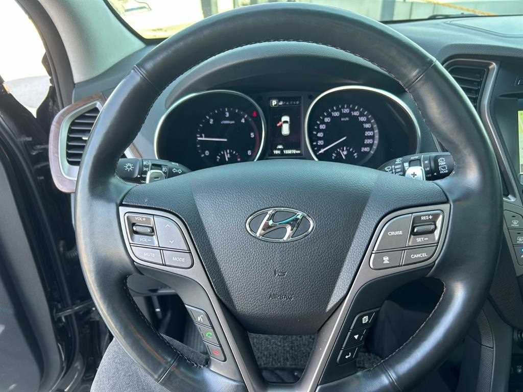 HYUNDAI Maxcruz - Vista 8