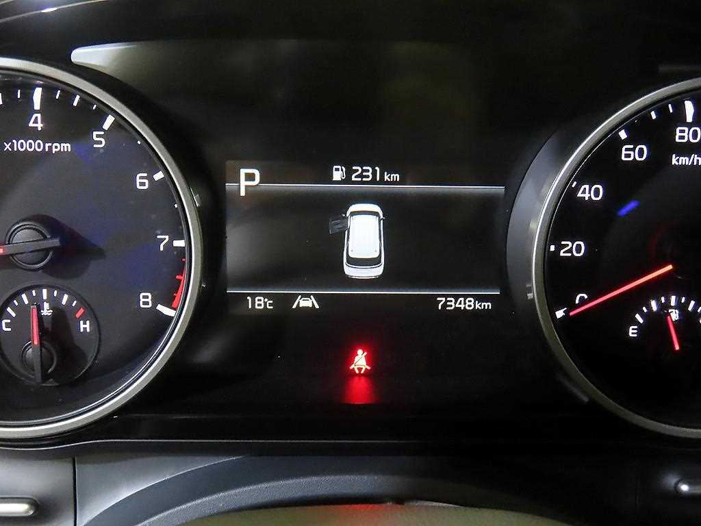KIA Carnival - Vista 9