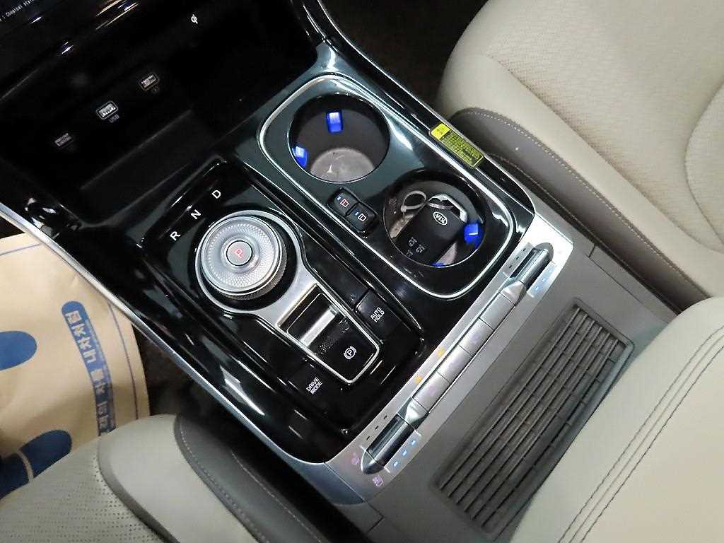 KIA Carnival - Vista 10