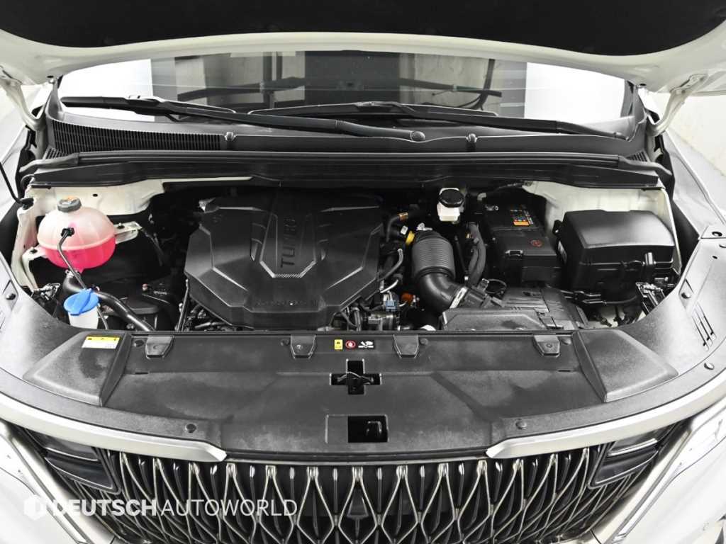 KIA Carnival - Vista 6