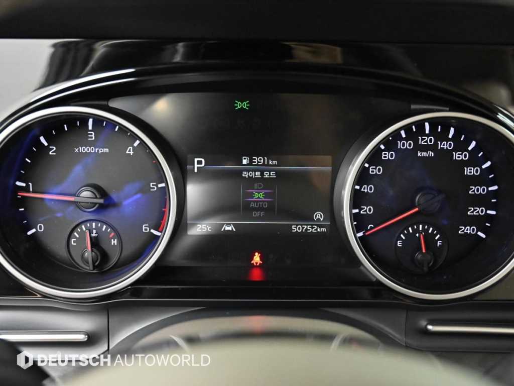 KIA Carnival - Vista 8