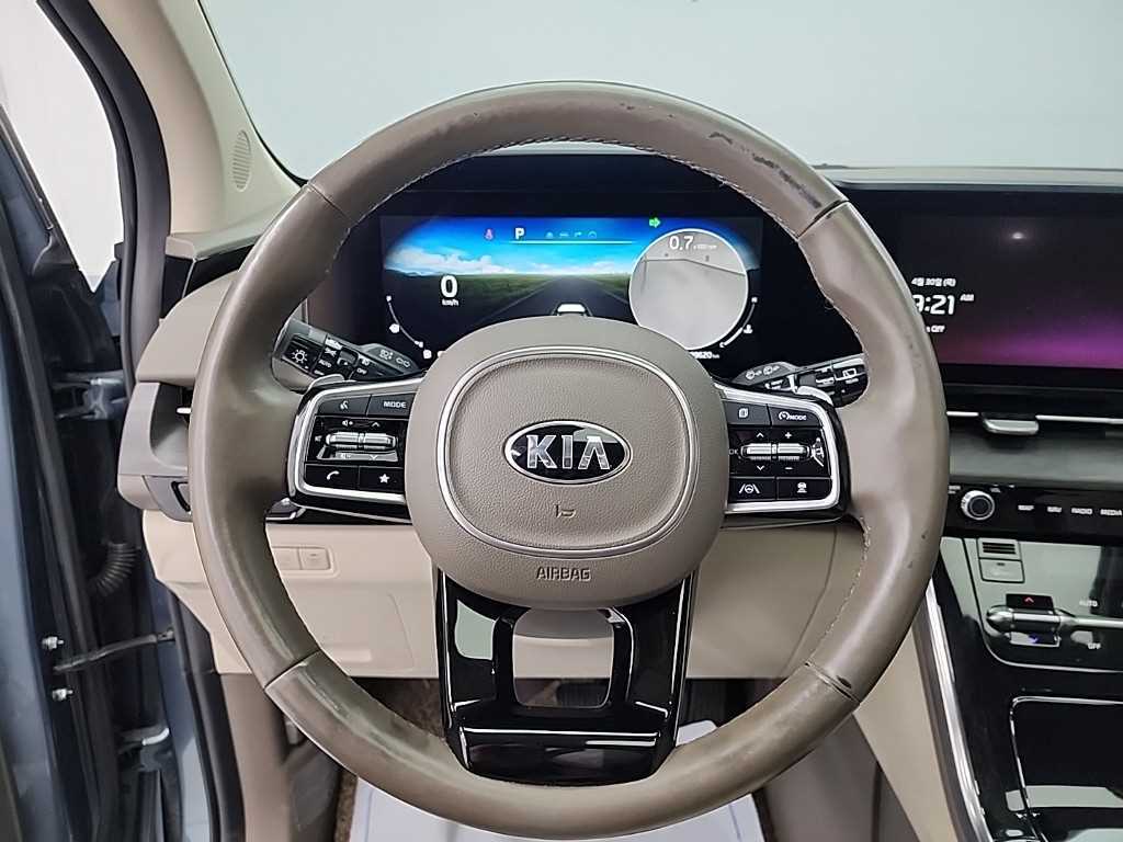 KIA Carnival - Vista 9