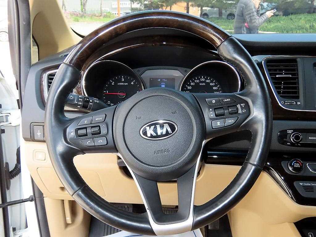 KIA Carnival - Vista 9