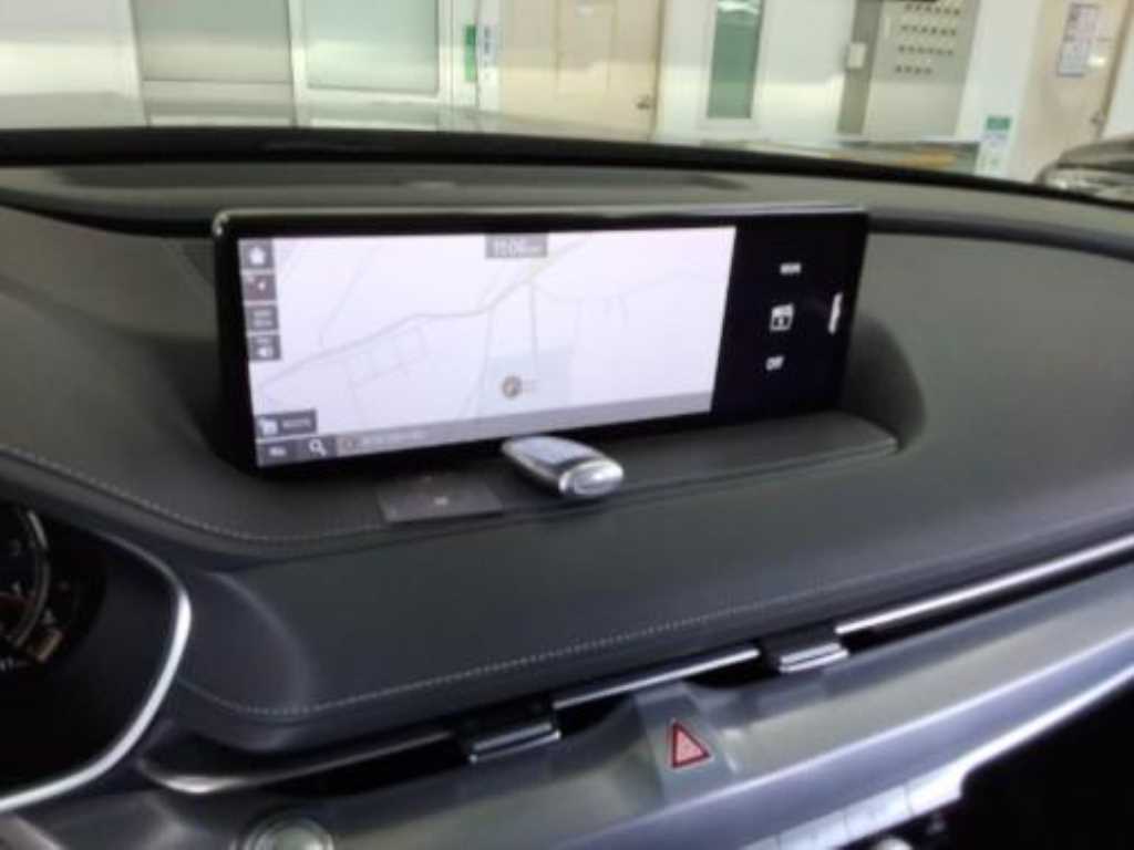 Genesis G80 - Vista 5