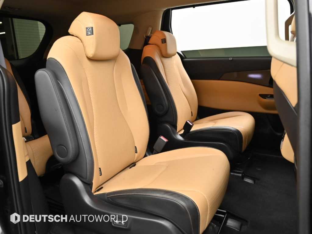 KIA Carnival - Vista 12