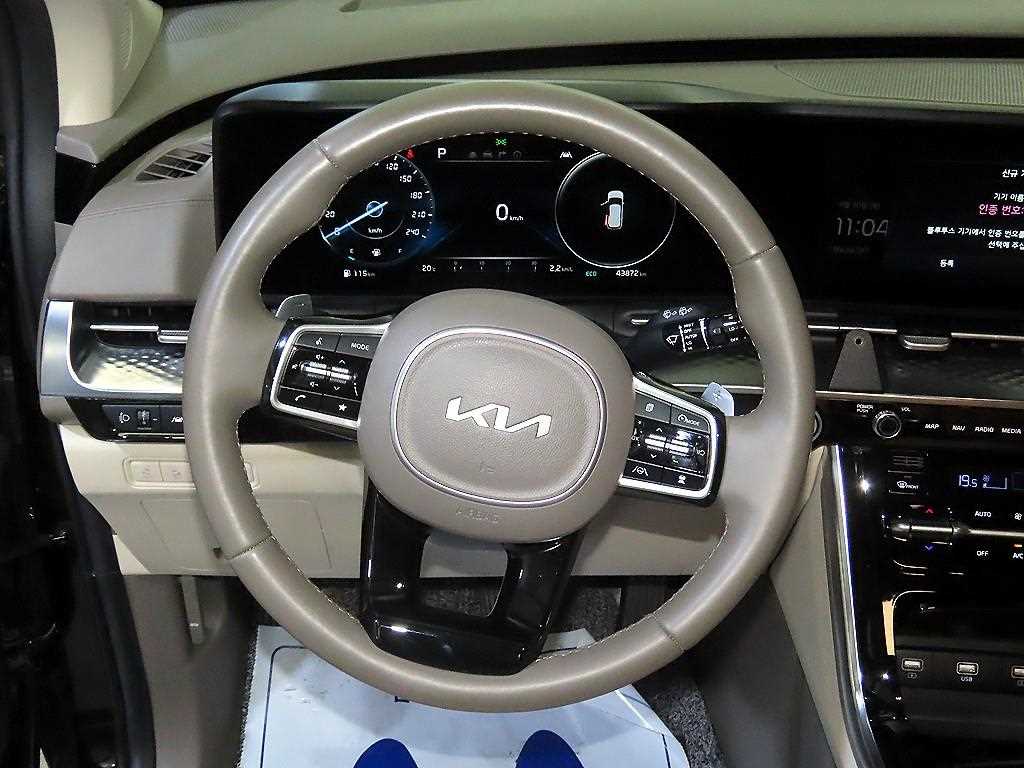 KIA Carnival - Vista 8