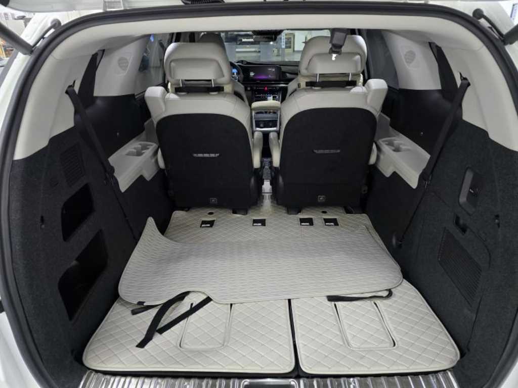 KIA Carnival - Vista 5