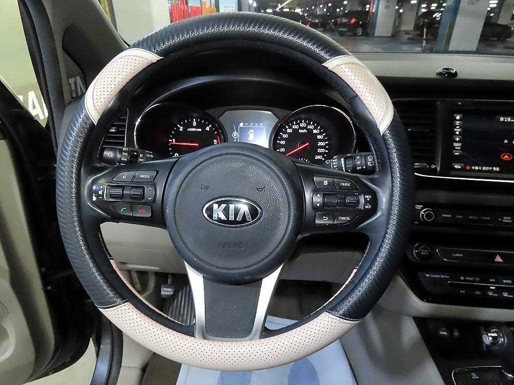 KIA Carnival - Vista 8