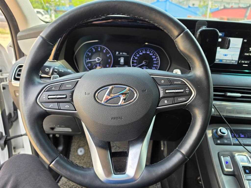 HYUNDAI Palisade - Vista 10
