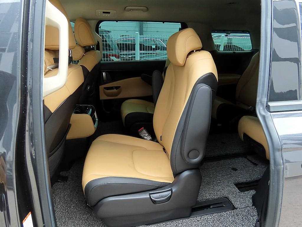 KIA Carnival - Vista 6