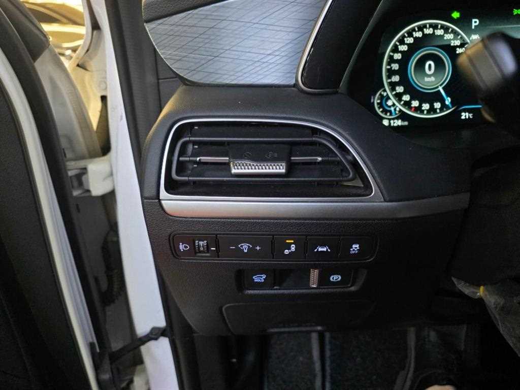 HYUNDAI Palisade - Vista 10