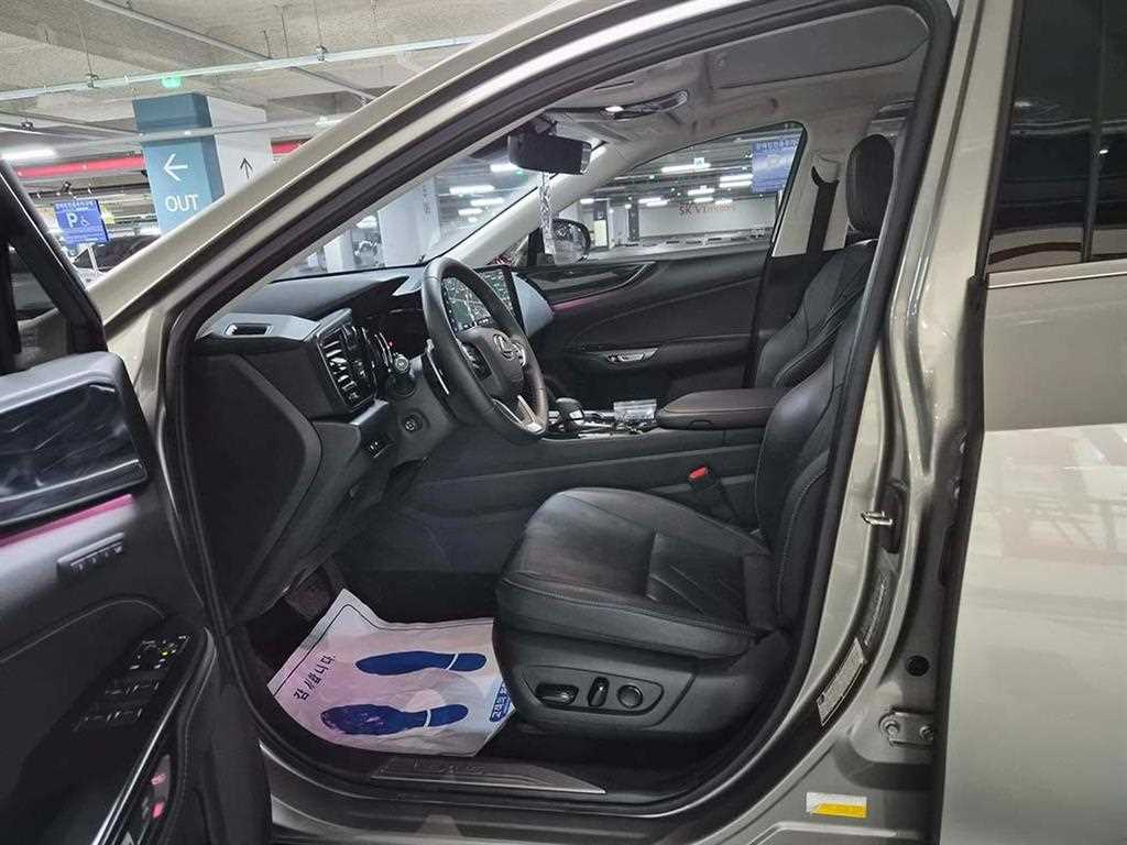 Lexus NX - Vista 6