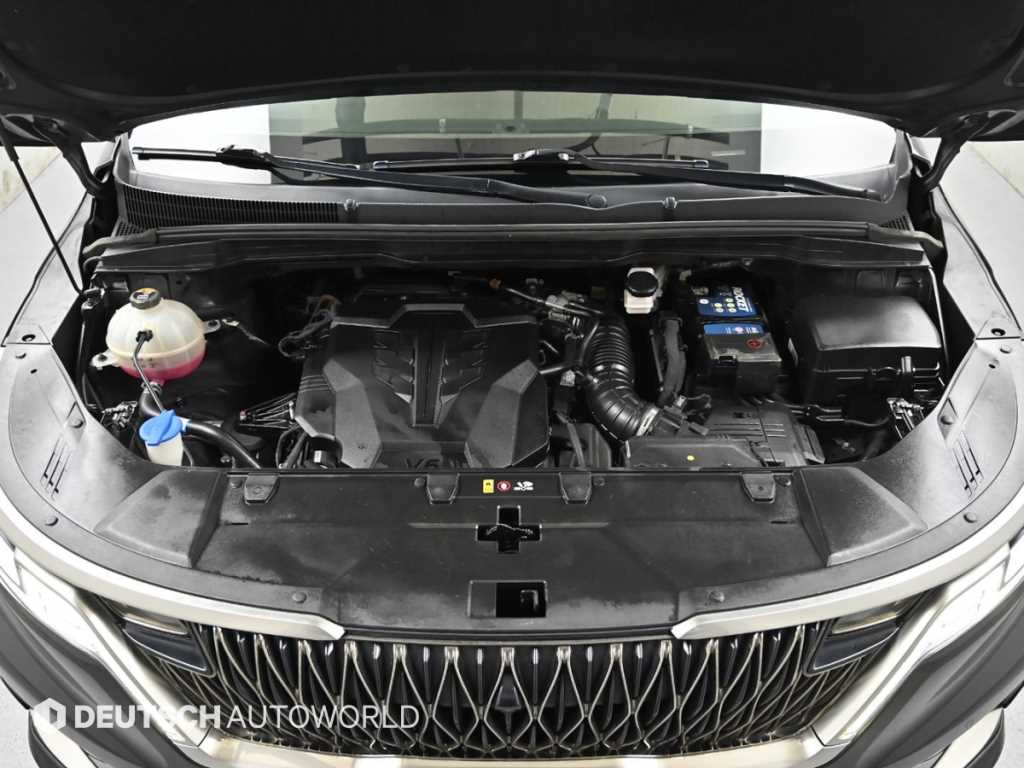 KIA Carnival - Vista 6