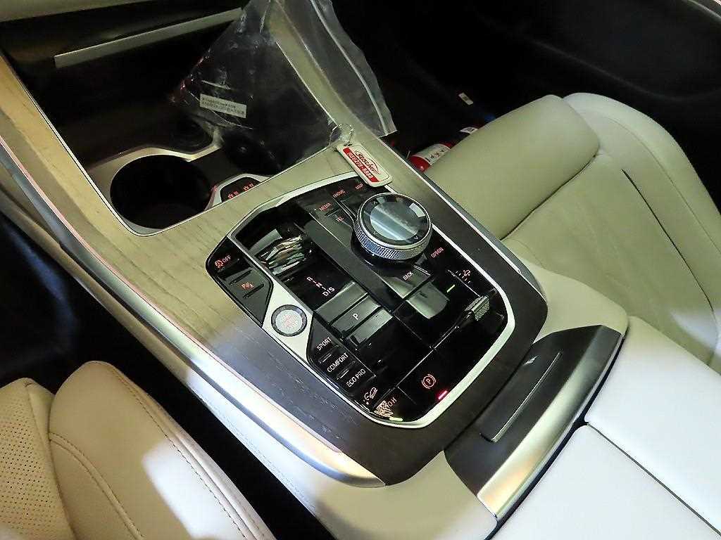 BMW X7 - Vista 12